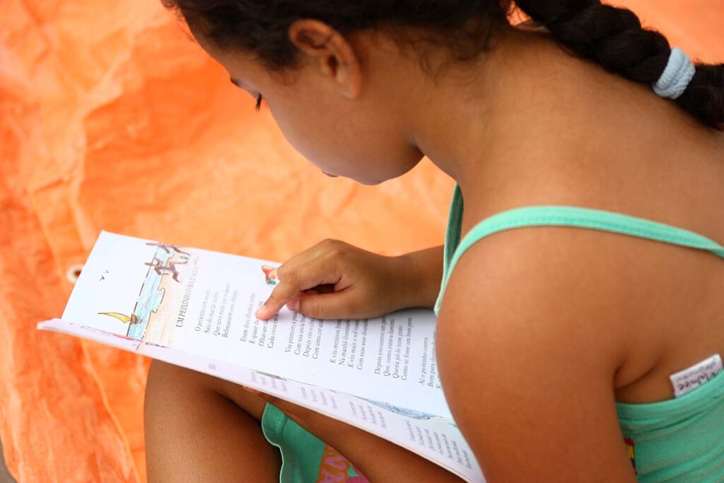 Projeto Livros Andantes em Palmares