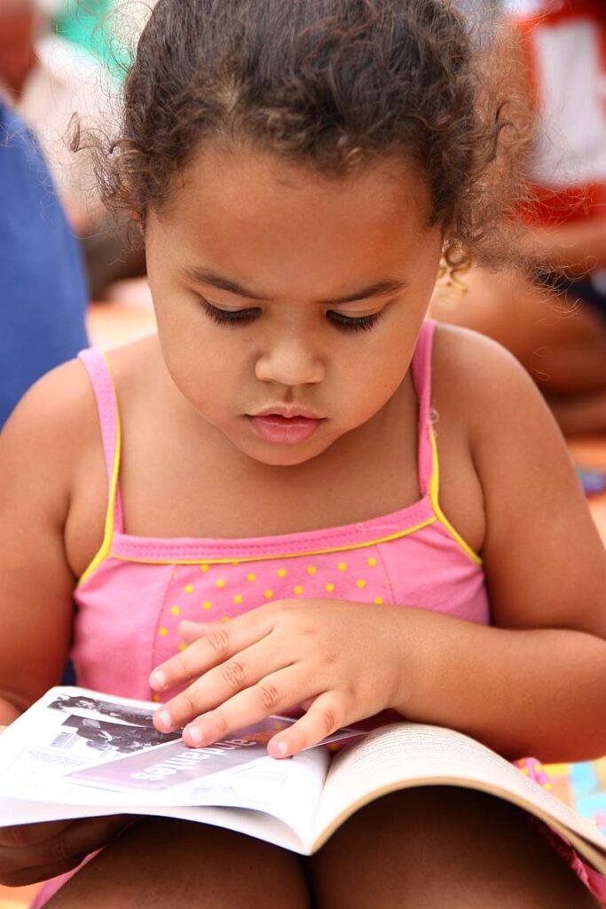 Projeto Livros Andantes em Palmares
