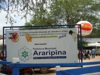 Caprinos e Ovinos em Araripina