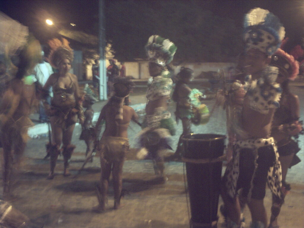 canavial 2009