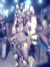 canavial 2009