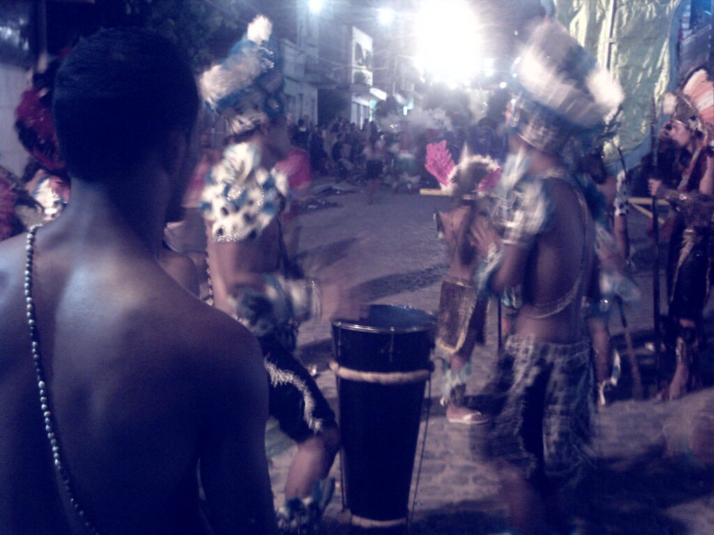 canavial 2009