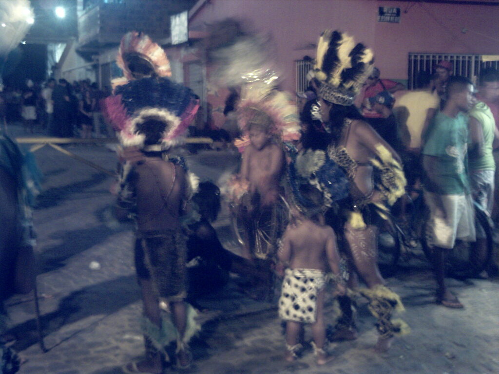 canavial 2009