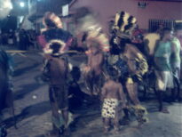 canavial 2009