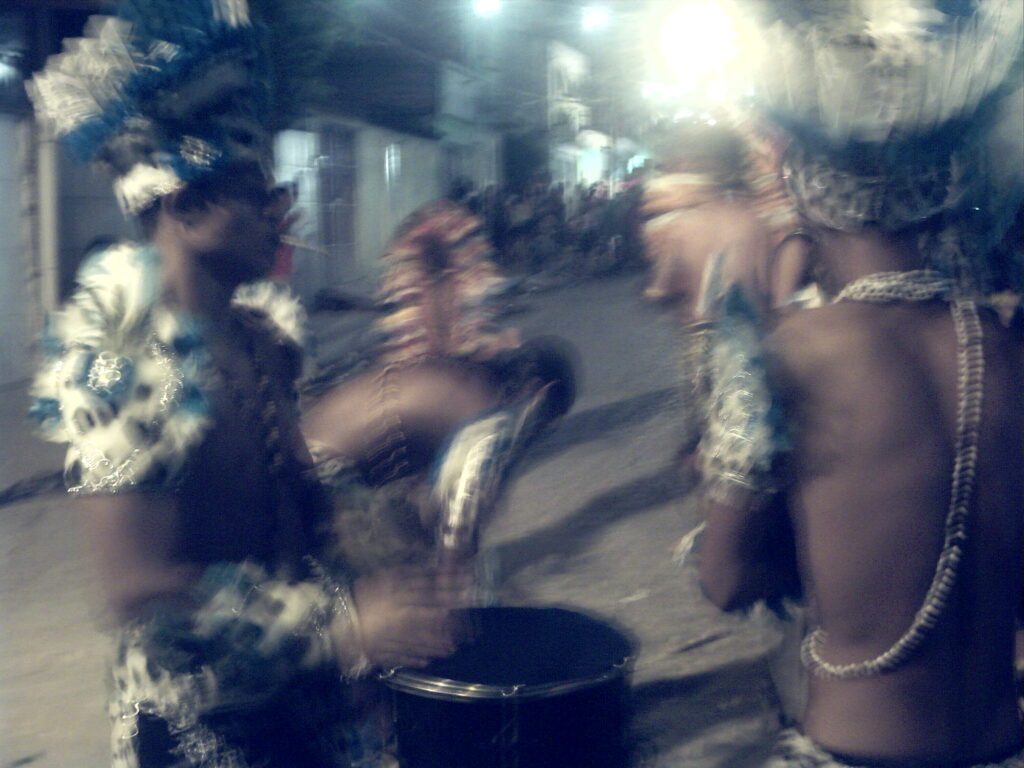canavial 2009