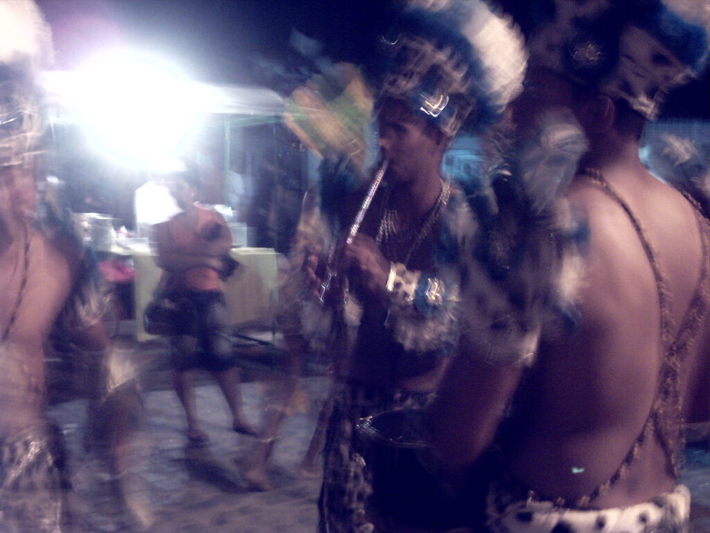 canavial 2009