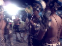 canavial 2009