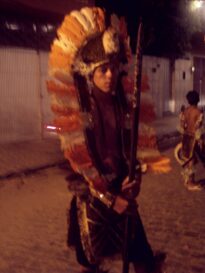 canavial 2009