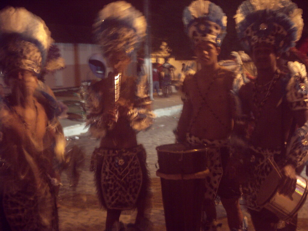 canavial 2009