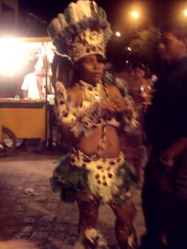 canavial 2009