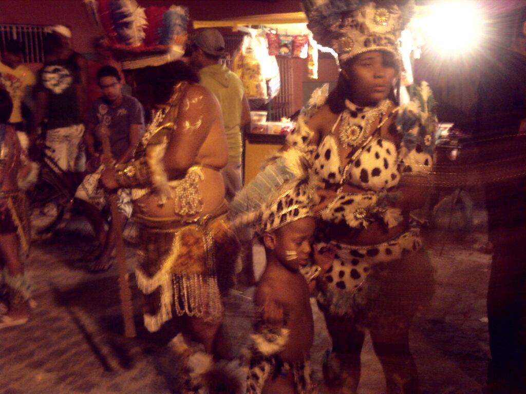 canavial 2009