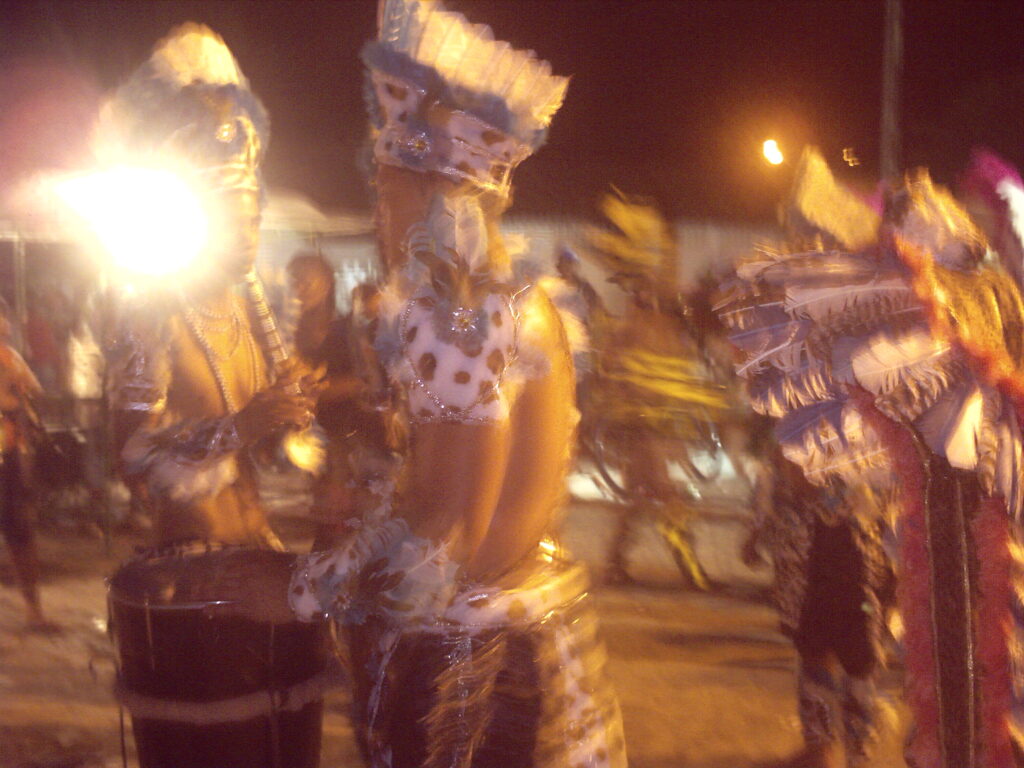 canavial 2009