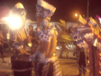 canavial 2009