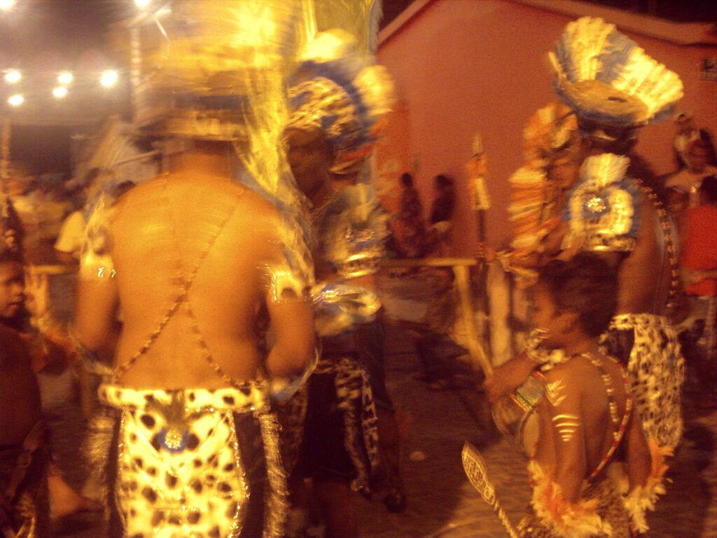 canavial 2009