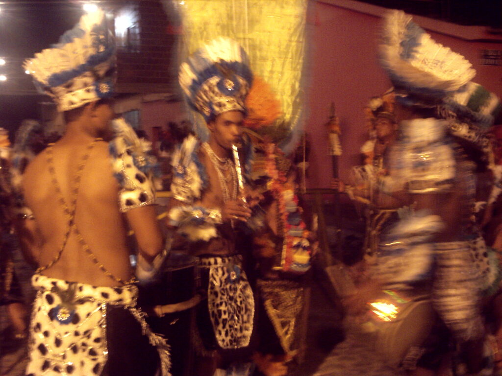 canavial 2009