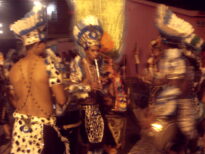 canavial 2009