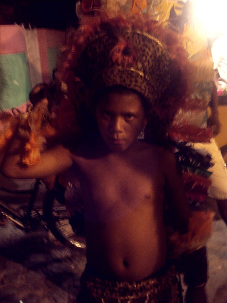 canavial 2009