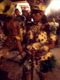 canavial 2009