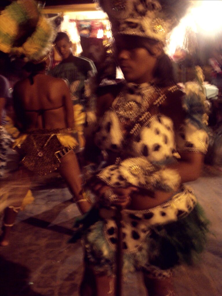 canavial 2009