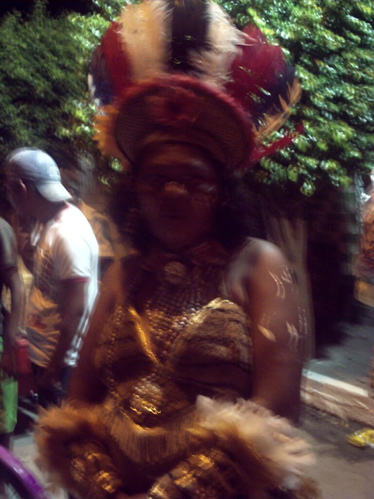 canavial 2009