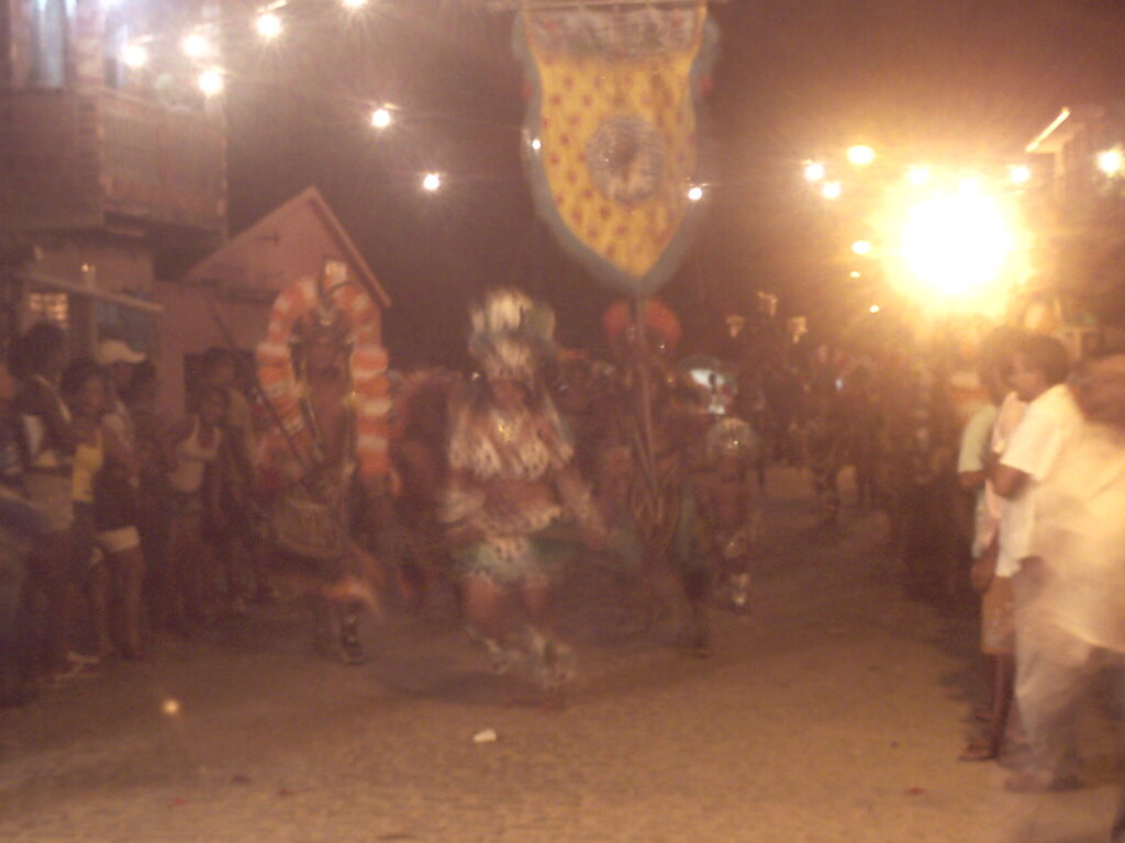 canavial 2009