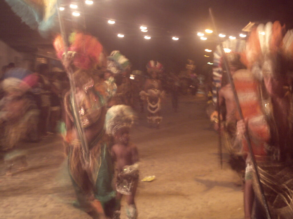 canavial 2009