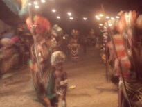 canavial 2009