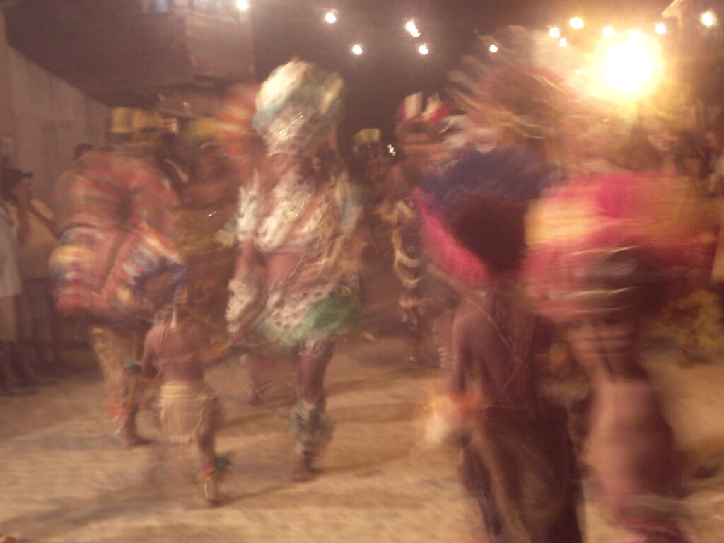 canavial 2009