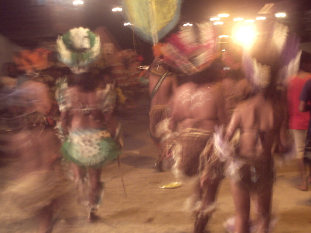 canavial 2009