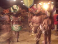 canavial 2009