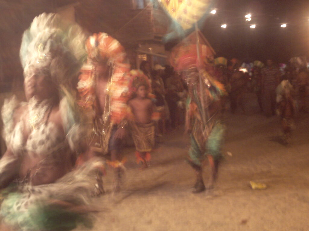 canavial 2009