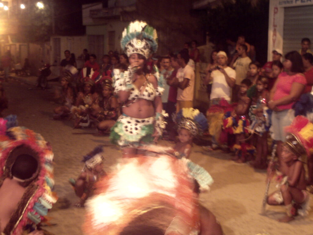 canavial 2009