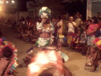 canavial 2009