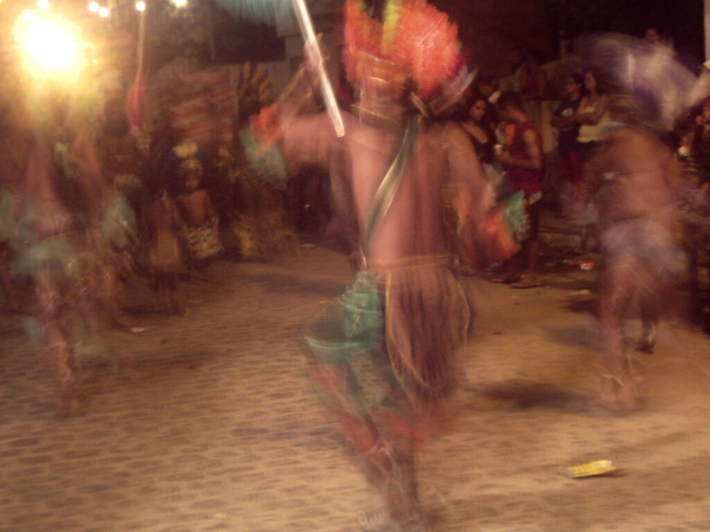 canavial 2009