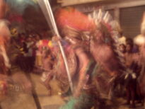 canavial 2009