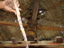 Engenho José Benzota