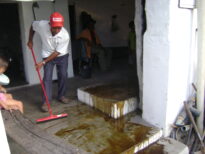 Engenho José Benzota