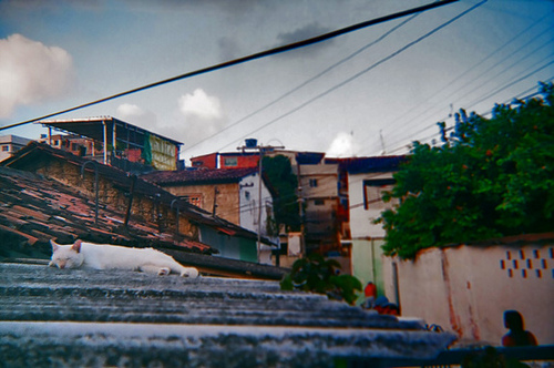 Imagens do Morro da Conceição por jovens fotografos.