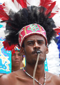 Retratos do Carnaval