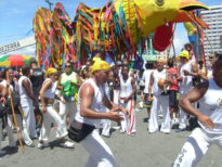 mestre paulomolla
