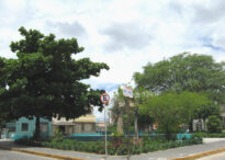 Paisagens de Belo Jardim