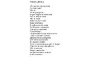 Funzines