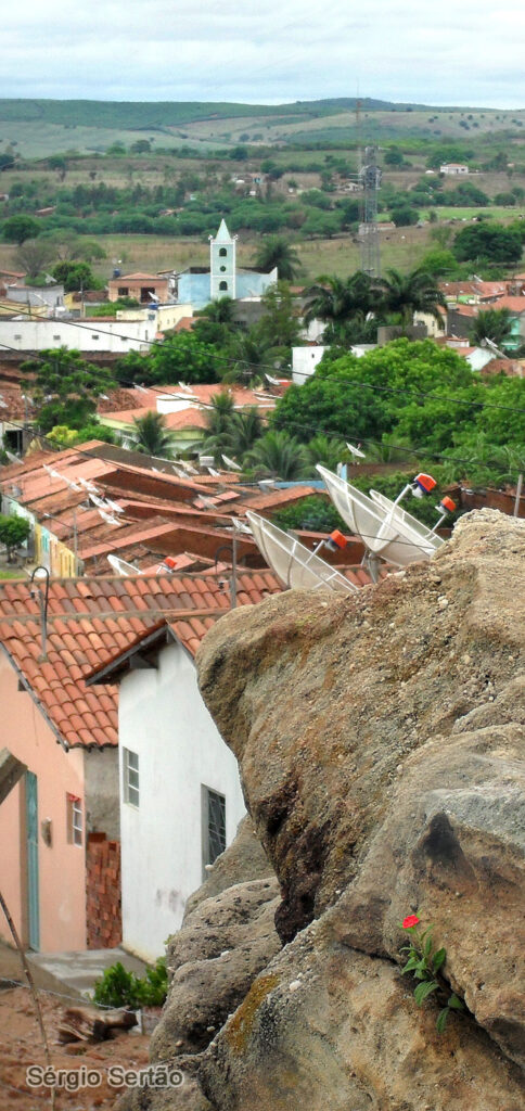 Cedro PE