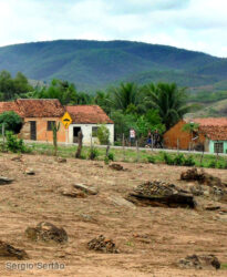 Cedro PE
