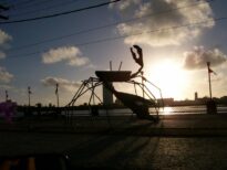 Caranguejo com cérebro