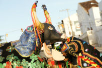Domingo - 14/02/2010