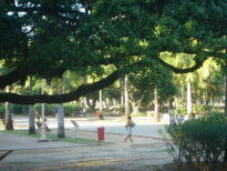 Parque 13 de maio