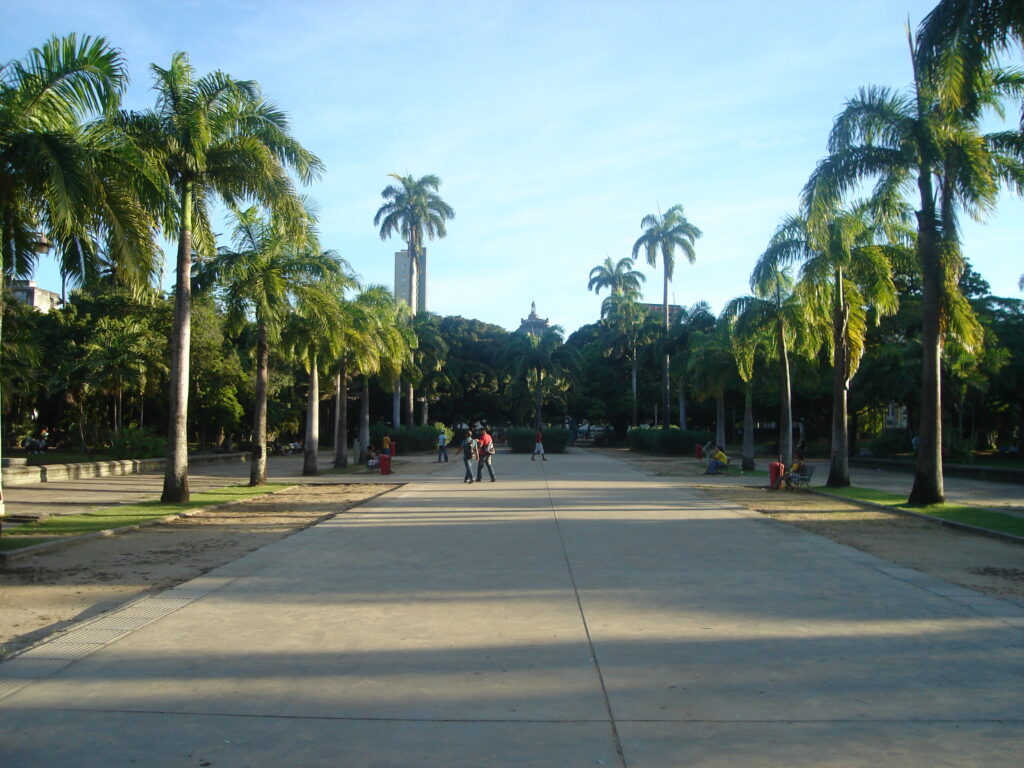 Parque 13 de maio
