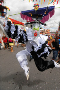 Carnaval 2010 de Bezerros: a festa dos papangus