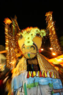 Carnaval 2010 - Boi de Ouro em Paudalho